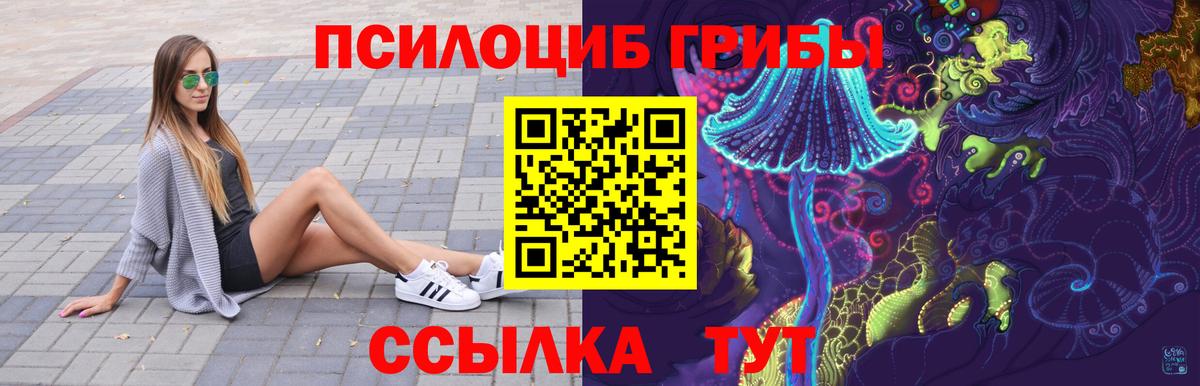 Галлюциногенные грибы MAGIC MUSHROOMS Вязники